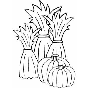 300x300 Cornstalks And Pumpkins Coloring Page