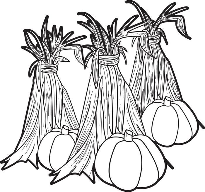 700x658 Pumpkins Corn Stalks Coloring Page Corn Stalks, Gourds