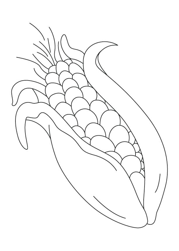 613x860 Corn Coloring Page Coloring Page Of Corn Corn Stalk Coloring Page