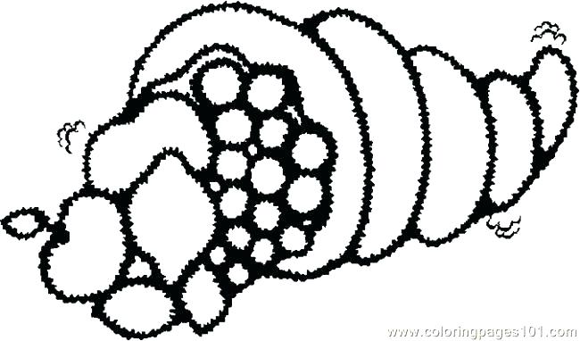 650x382 Cornucopia Para Colorear Para Actividas Con Y Para For Cornucopia