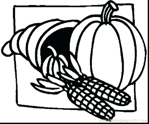 601x500 Squash Coloring Page Medium Size Of Cornucopia Coloring Page