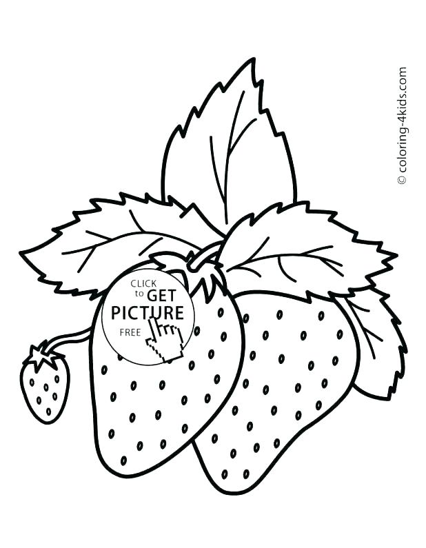 618x795 Coloring Pages Fruits Fruits And Vegetables Coloring Pages