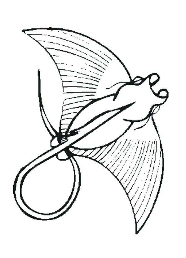 600x831 Cute Stingray Coloring Pages Printable Coloring Ray Coloring Pages