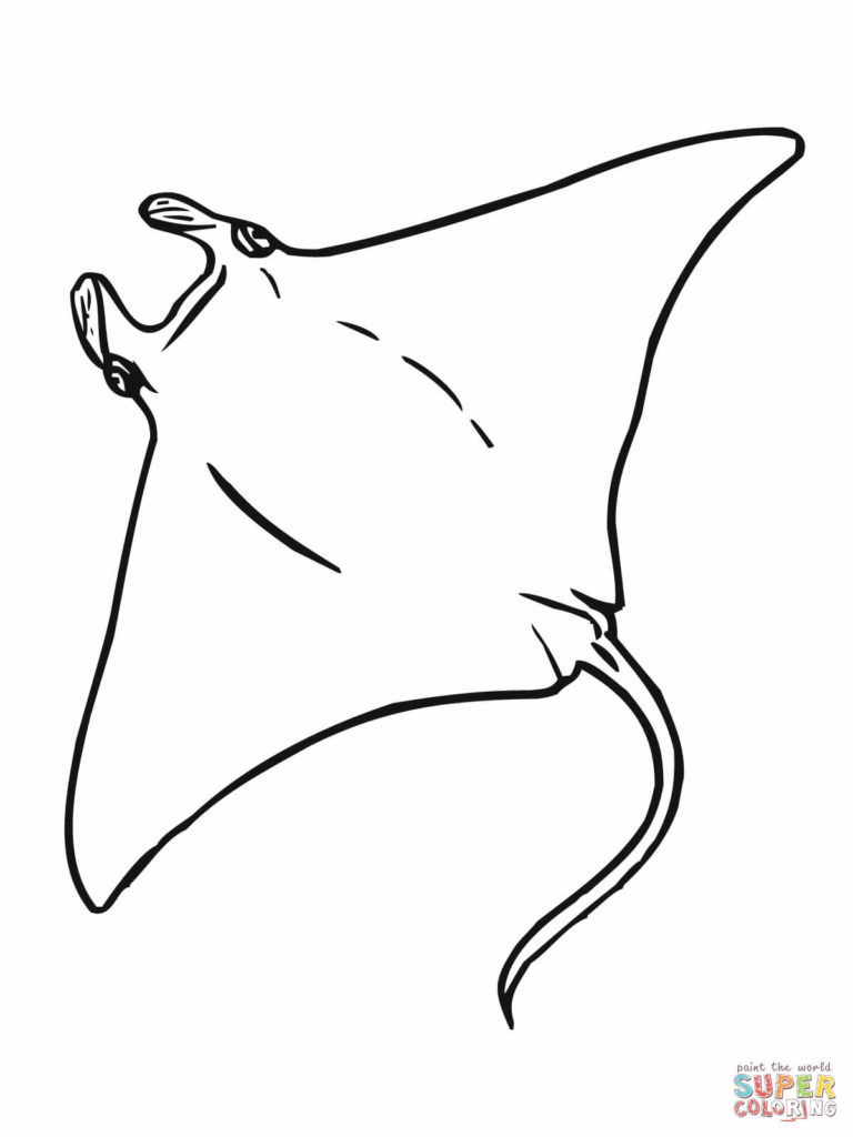 768x1024 Stingray Coloring Pages