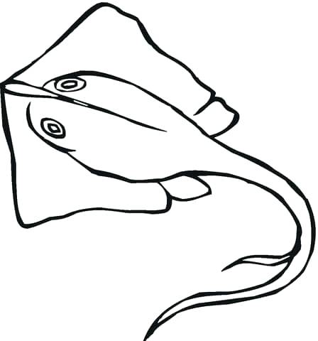 448x480 Stingray Coloring Page Epic Corvette Coloring Pages In Coloring