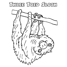 230x230 Top Sloth Coloring Pages For Your Toddler