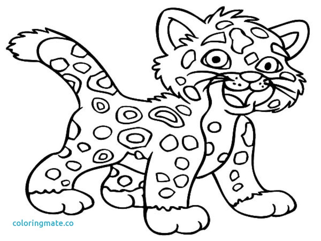 1024x768 Baby Jaguar Coloring Pages Chacalavong Info