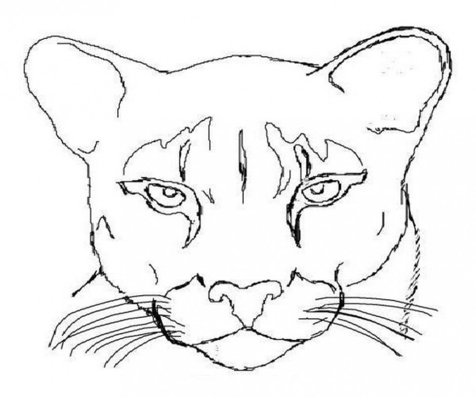 940x783 Dorable Cougar Coloring Pages Model