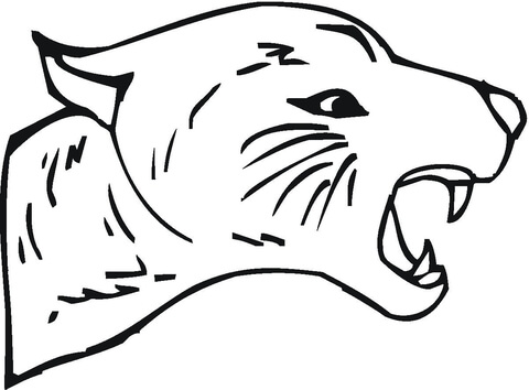 480x354 Leaping Cougar Coloring Page