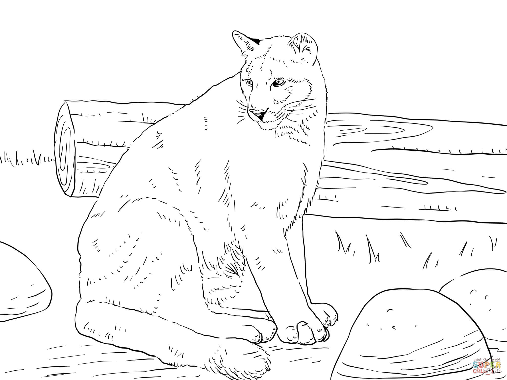 2048x1536 Sitting Cougar Coloring Pages Collection Coloring For Kids