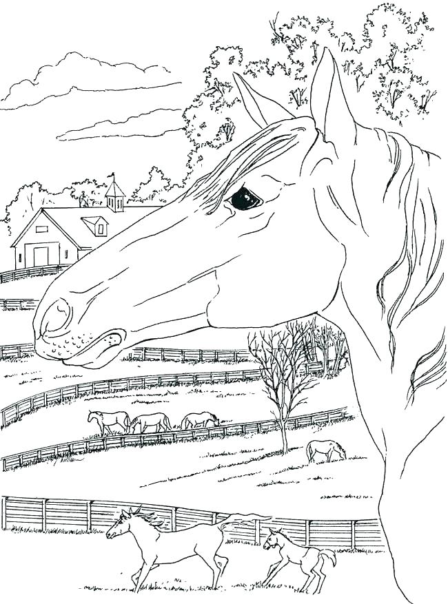 650x877 Country Flags Coloring Pages Free Country Coloring Pages Country