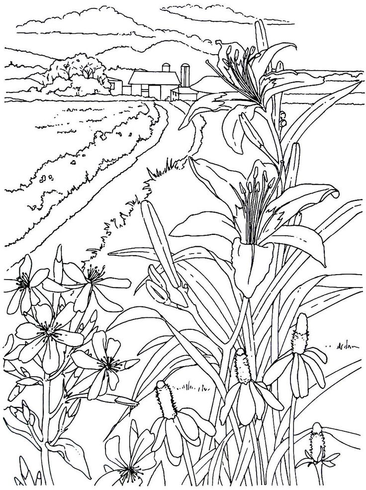 736x985 Best Living In The Country Coloring Book Pages Images