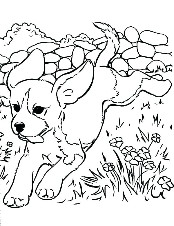 600x780 Courage The Cowardly Dog Coloring Pages Printable Coloring Puppies