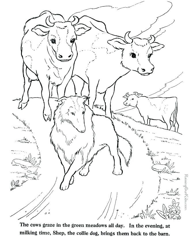 670x820 Cows Coloring Pages Coloring Pages Online Page Cow Item Nativity