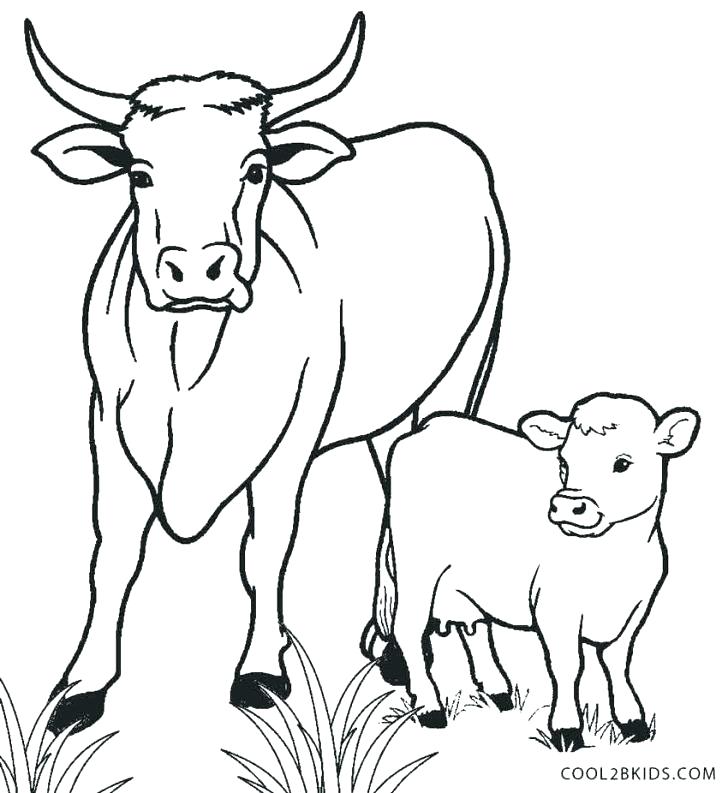728x793 Golden Calf Coloring Page Calf Coloring Pages Printable Cow