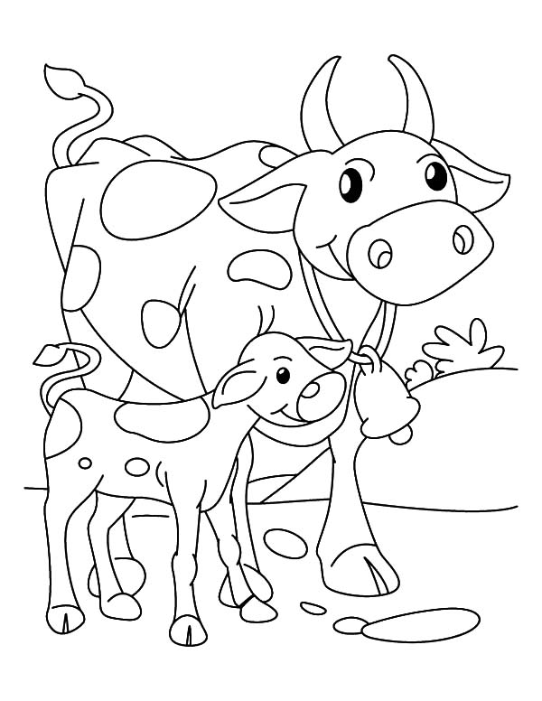 600x776 Calf Coloring Pages