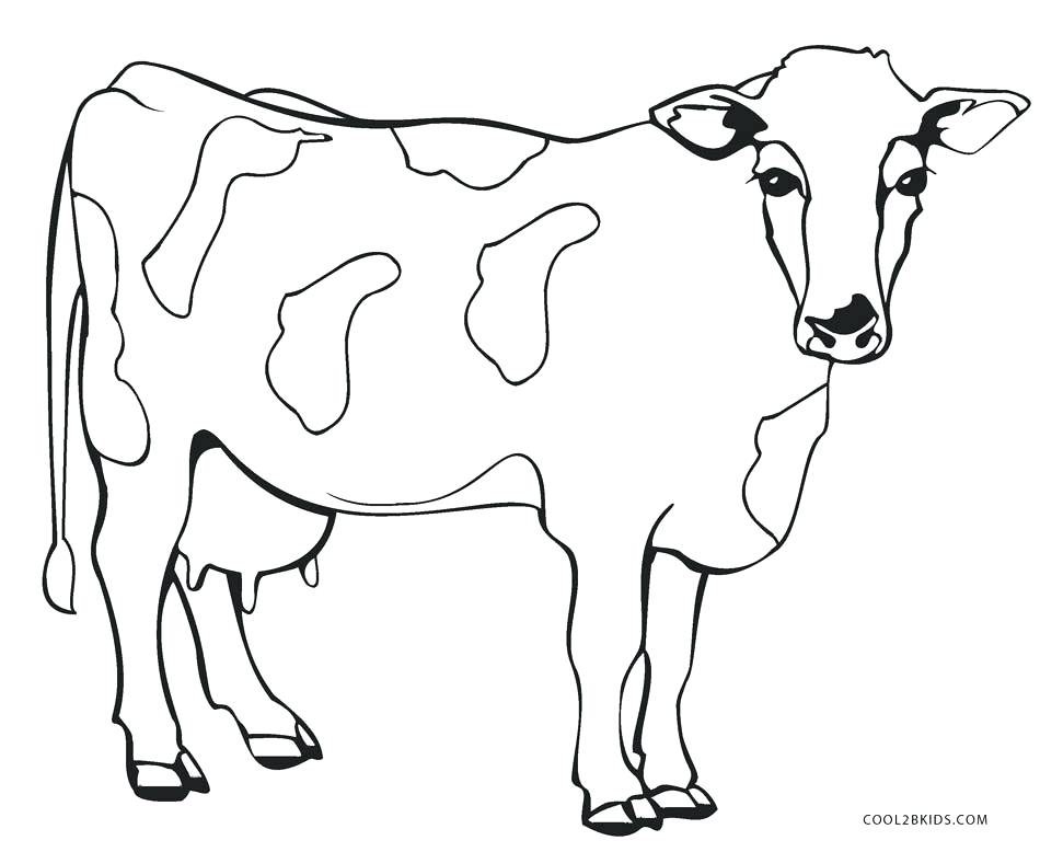 950x778 Cow Coloring Pictures Coloring Page Cow Cartoon Of Smiling Cow