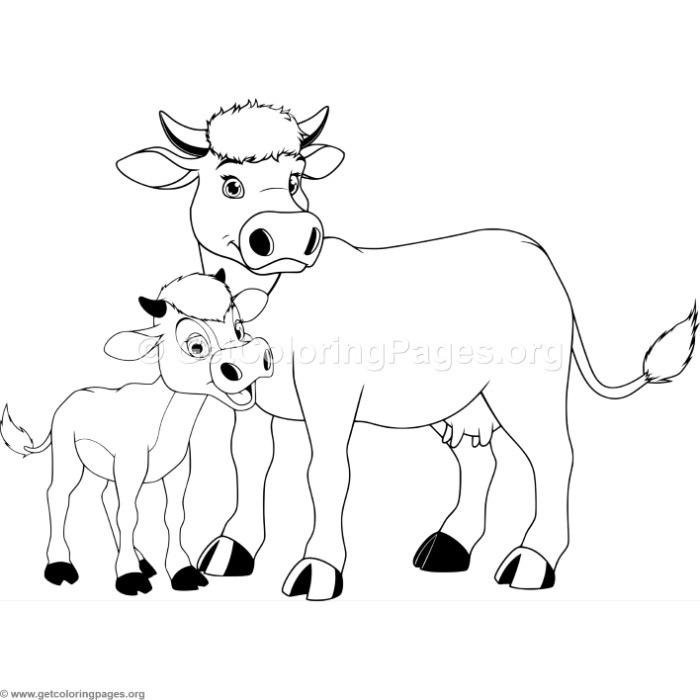 700x700 Mother Cow And Calf Coloring Pages