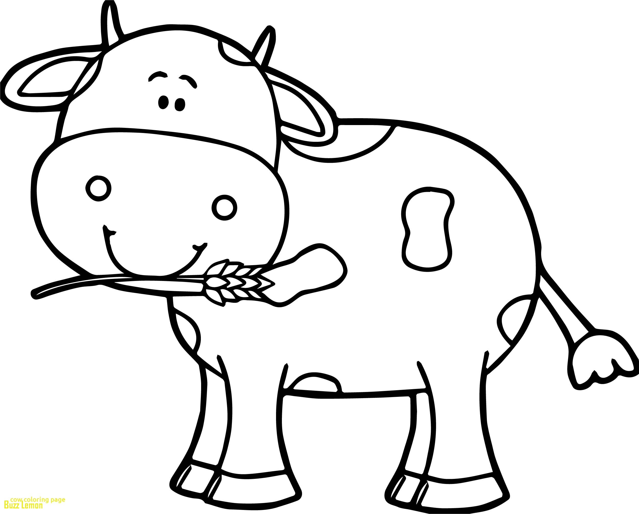 2507x2018 Beautiful Coloring Page Cow Buzz Coloring