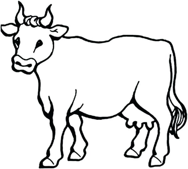600x538 Cows Coloring Pages Picture Of Milch Cow Coloring Page Free