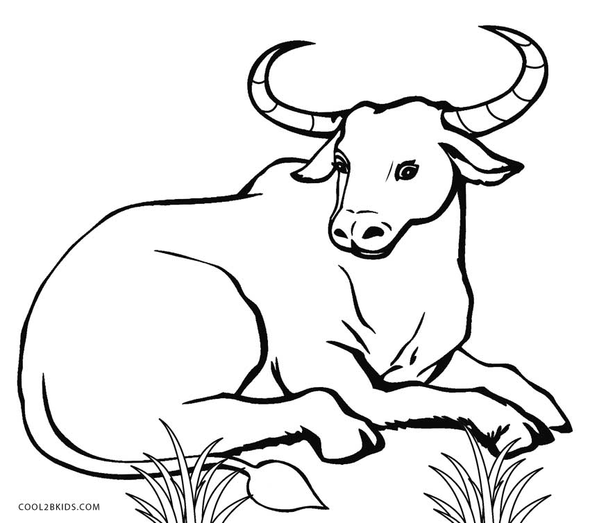 850x754 Free Printable Cow Coloring Pages For Kids