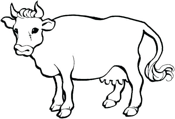 600x410 Cow Coloring Pages Cow Coloring Pages Cow Coloring Pages Coloring
