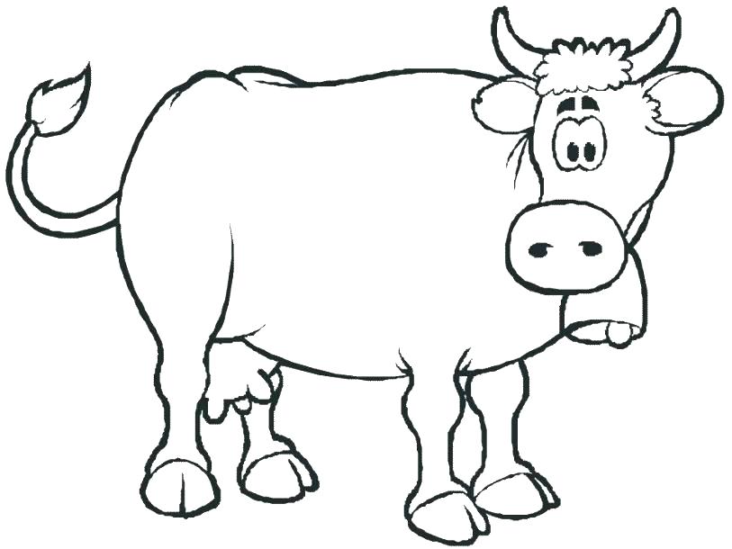 813x610 Cows Coloring Pages Best Party On The Farm Images On For Cow
