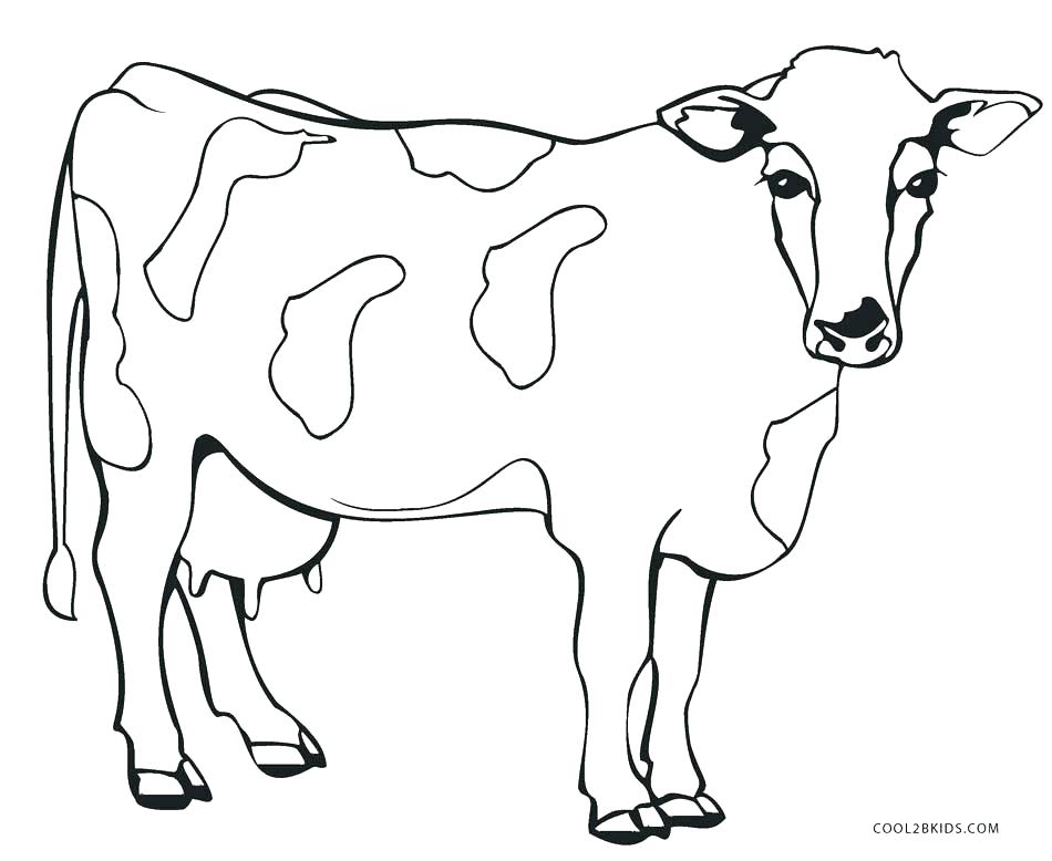 950x778 Baby Cow Coloring Pages