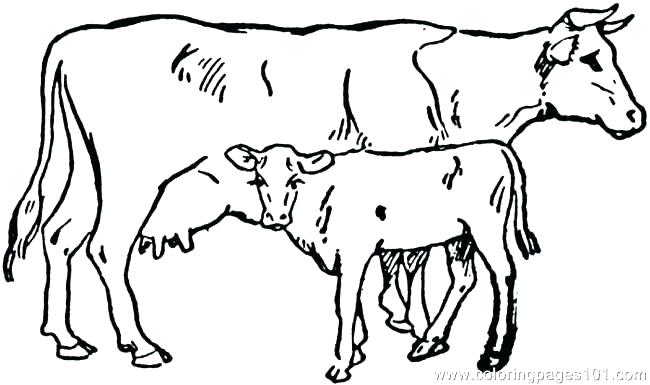 650x385 Coloring Pictures Of Cows Dairy Cows Coloring Pages Coloring Pages