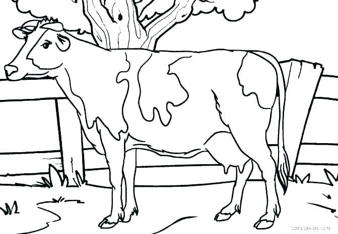 671x466 Cow Coloring Pages To Print Cow Coloring Pages Free Printable