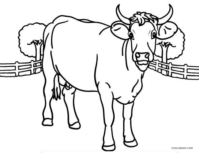 650x500 Free Printable Cow Coloring Pages For Kids
