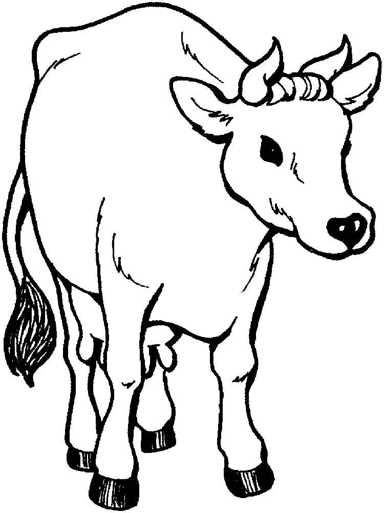 750x1000 Free Printable Cow Coloring Pages For Kids