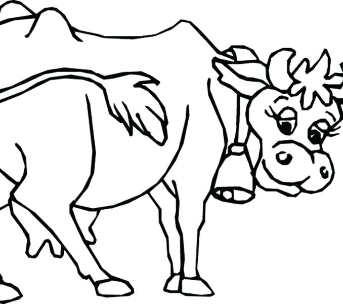 678x600 Cattle Coloring Pages Interesting Great Cow Coloring Pages Free