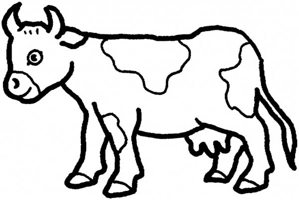 600x402 Picture Of Cow For Colouring Lovely Cow Coloring Page On Free
