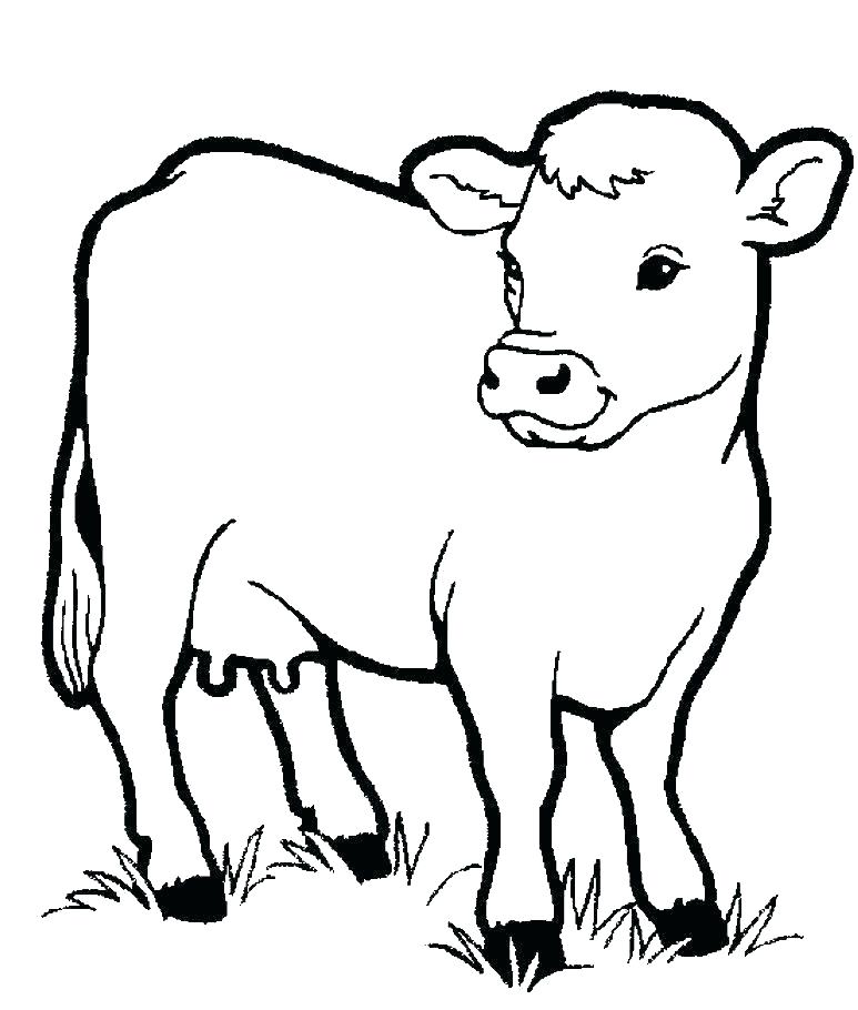 773x910 Coloring Pages Cow Cute Little Cow Coloring Page Coloring Pages