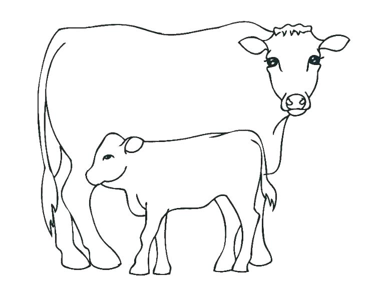 765x574 Cow Coloring Page Free Cow Coloring Pages Cow Coloring Page
