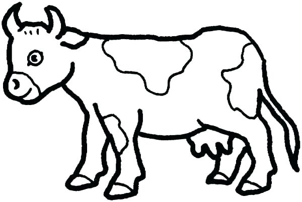 Cow Coloring Pages Free Printable at GetDrawings | Free download