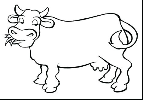 476x333 Free Printable Cow Coloring Pages For Kids Cow Head Coloring Page