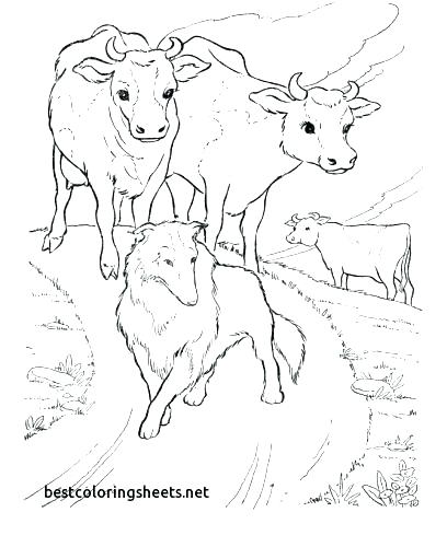 408x500 Cow Coloring Pages For Adults