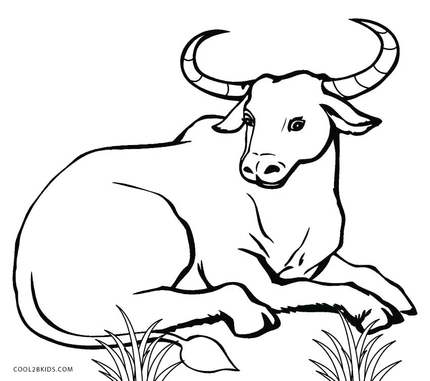 850x754 Cows Coloring Pages Cow Coloring Pages Free Printable Cow Face