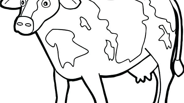 585x329 Free Printable Cow Coloring Pages For Kids Cow Head Coloring Page