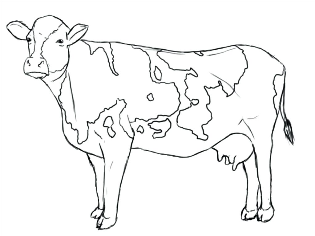 1023x766 Opportunities Cow Coloring Sheets Free Printable Pages For Kids