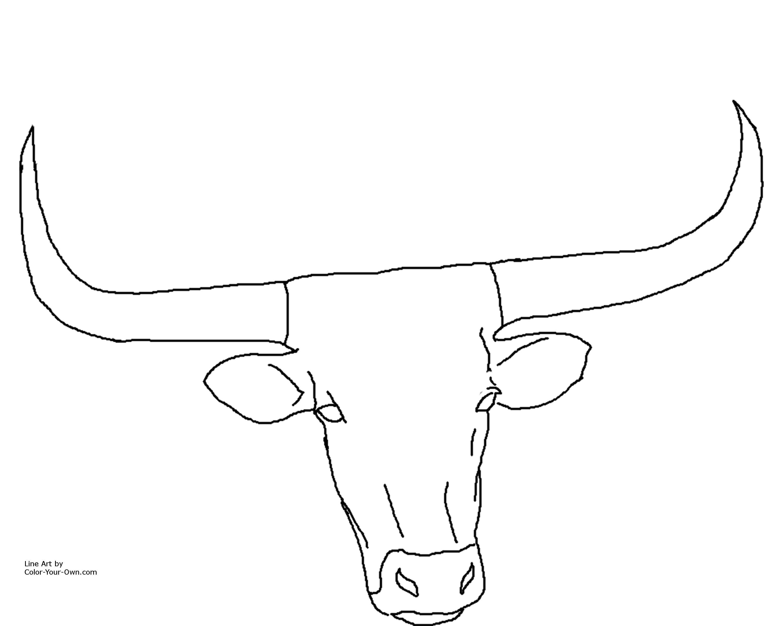 3000x2400 Texas Longhorn Coloring Pages Adult Coloring Texas
