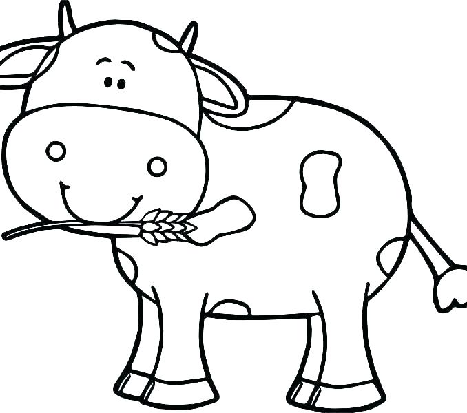 678x600 Cow Coloring Pages