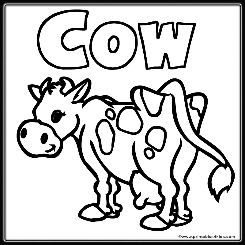800x800 Cow