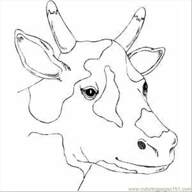 650x650 Spotty Cow Head Coloring Page