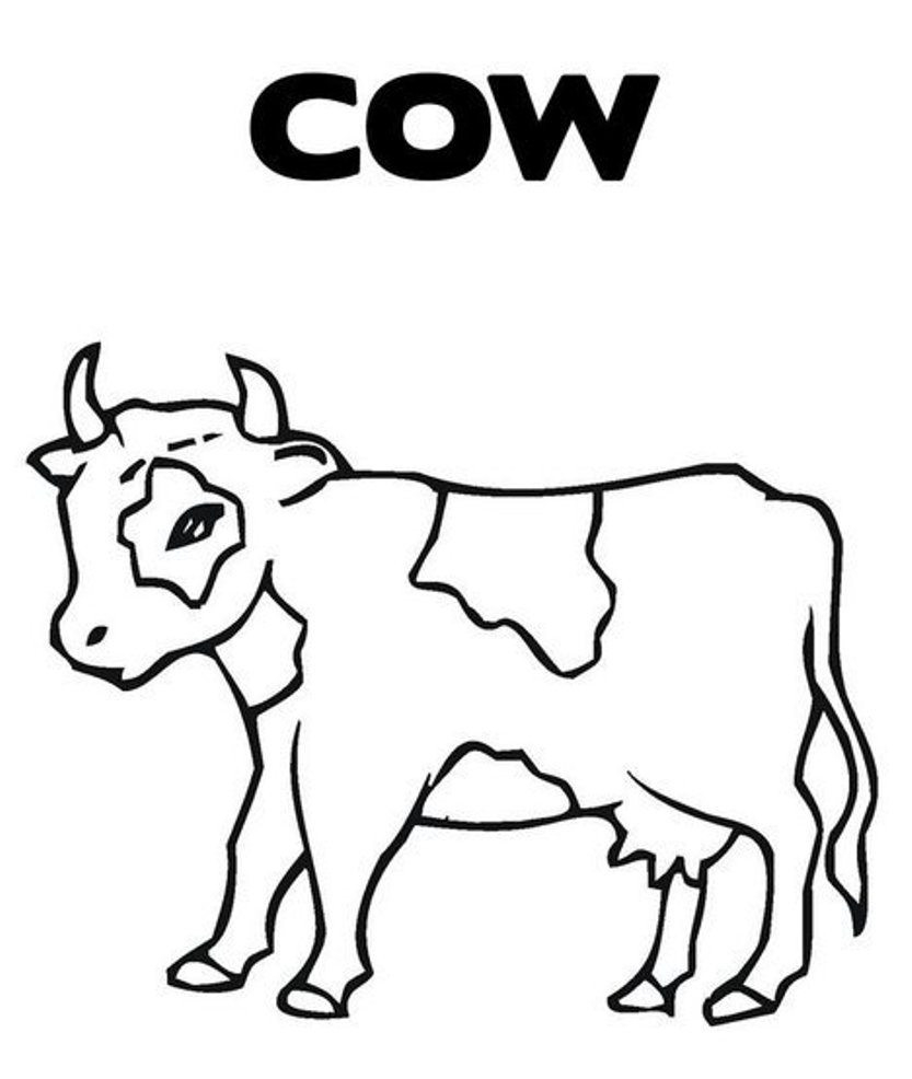 833x986 Survival Pictures Of Cows To Color Awesome Cow Page Design