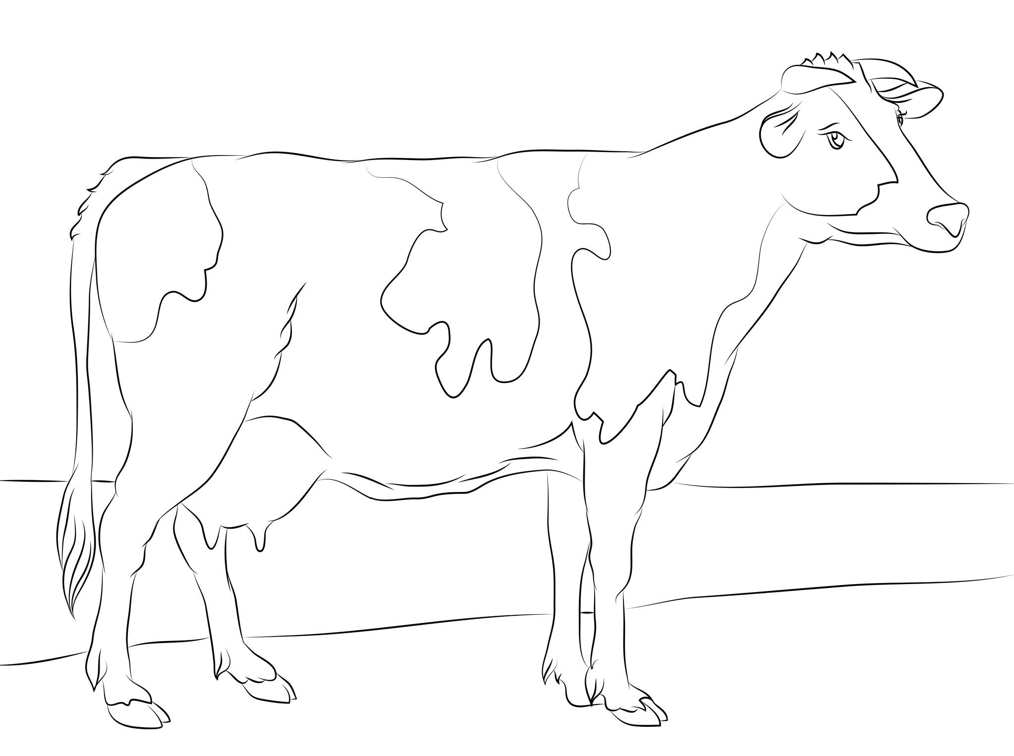 2046x1526 Free Cow Coloring Pages Printable