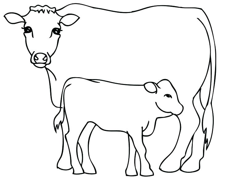 Cow Printable Coloring Pages at GetDrawings | Free download