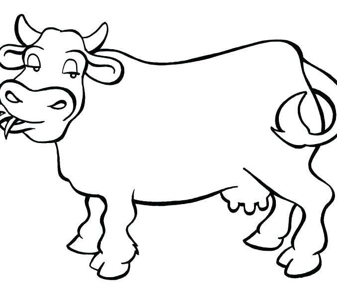 678x600 Cow Printable Coloring Pages
